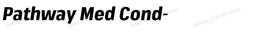 Pathway Med Cond字体转换 Pathway Med Cond字体转换